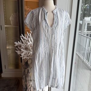 CP Shades Blue and White Striped Dress